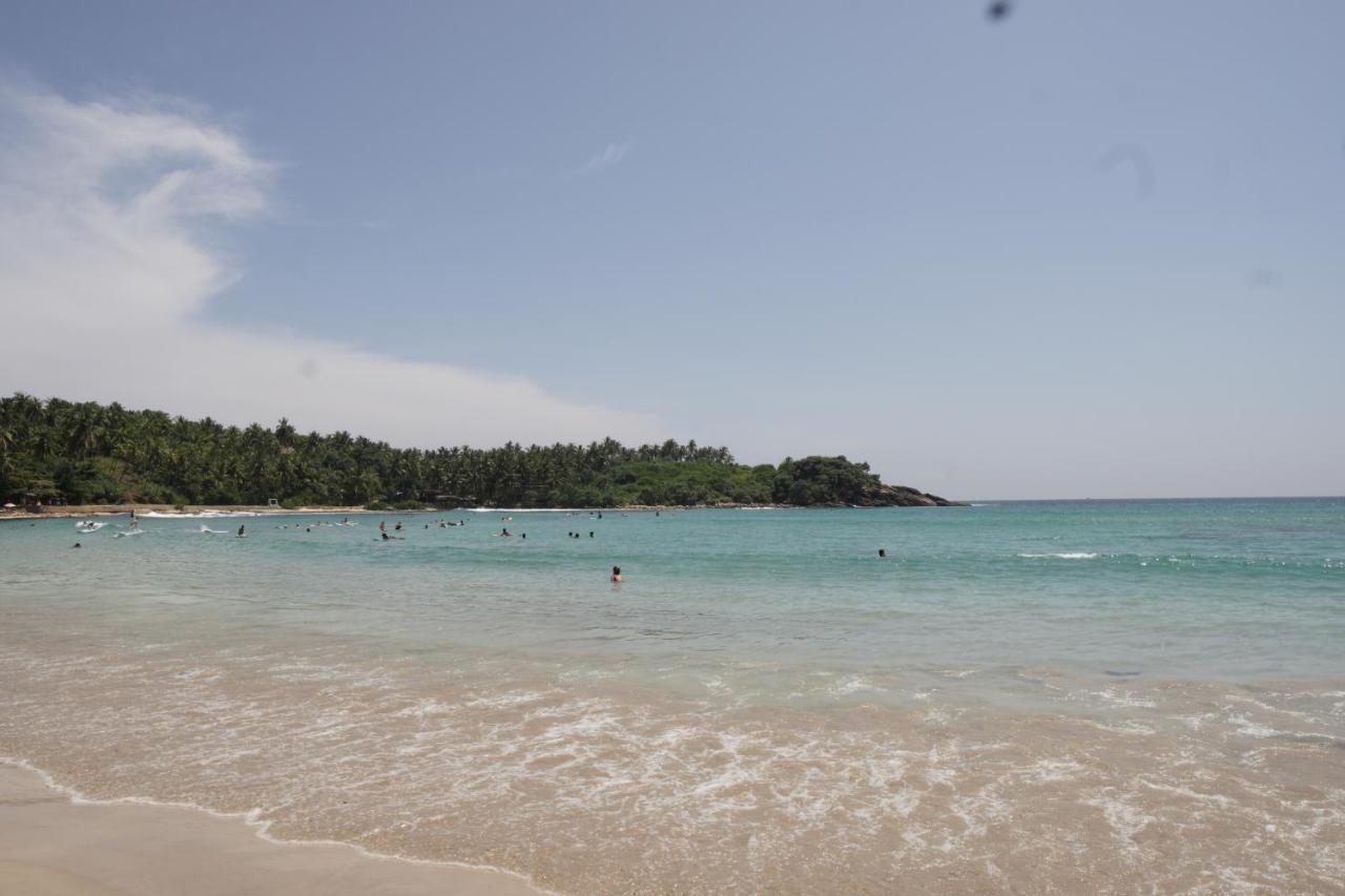 Surf Nest Hiriketiya Hotel Dikwella Ngoại thất bức ảnh